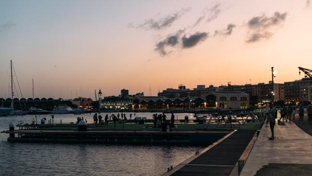 El Shark Film Festival llega a Valencia