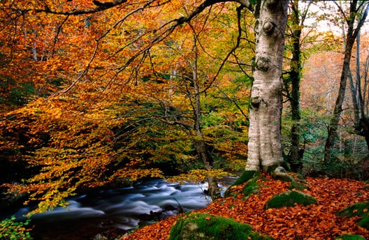 Tres destinos perfectos para viajar por España en Otoño