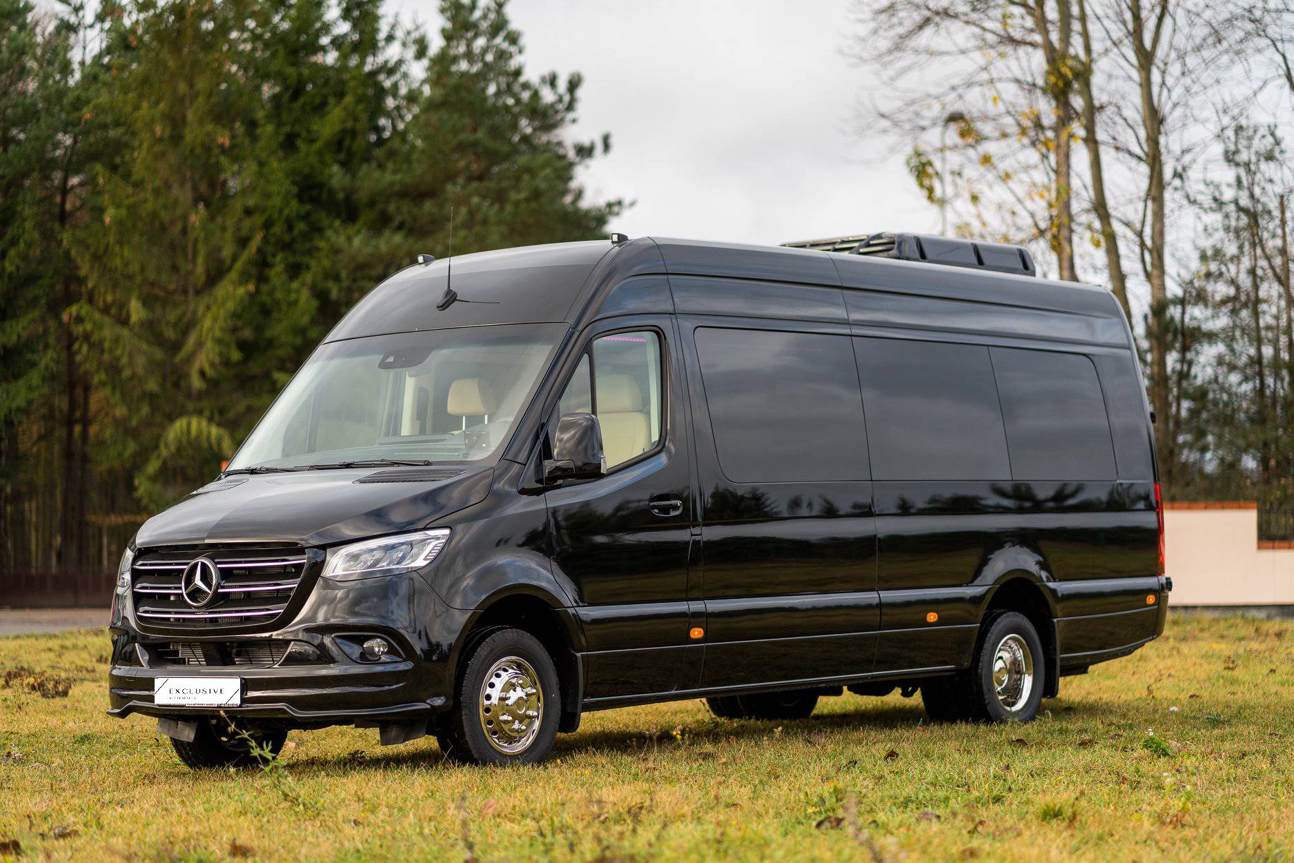 Mercedes Sprinter VIP 4